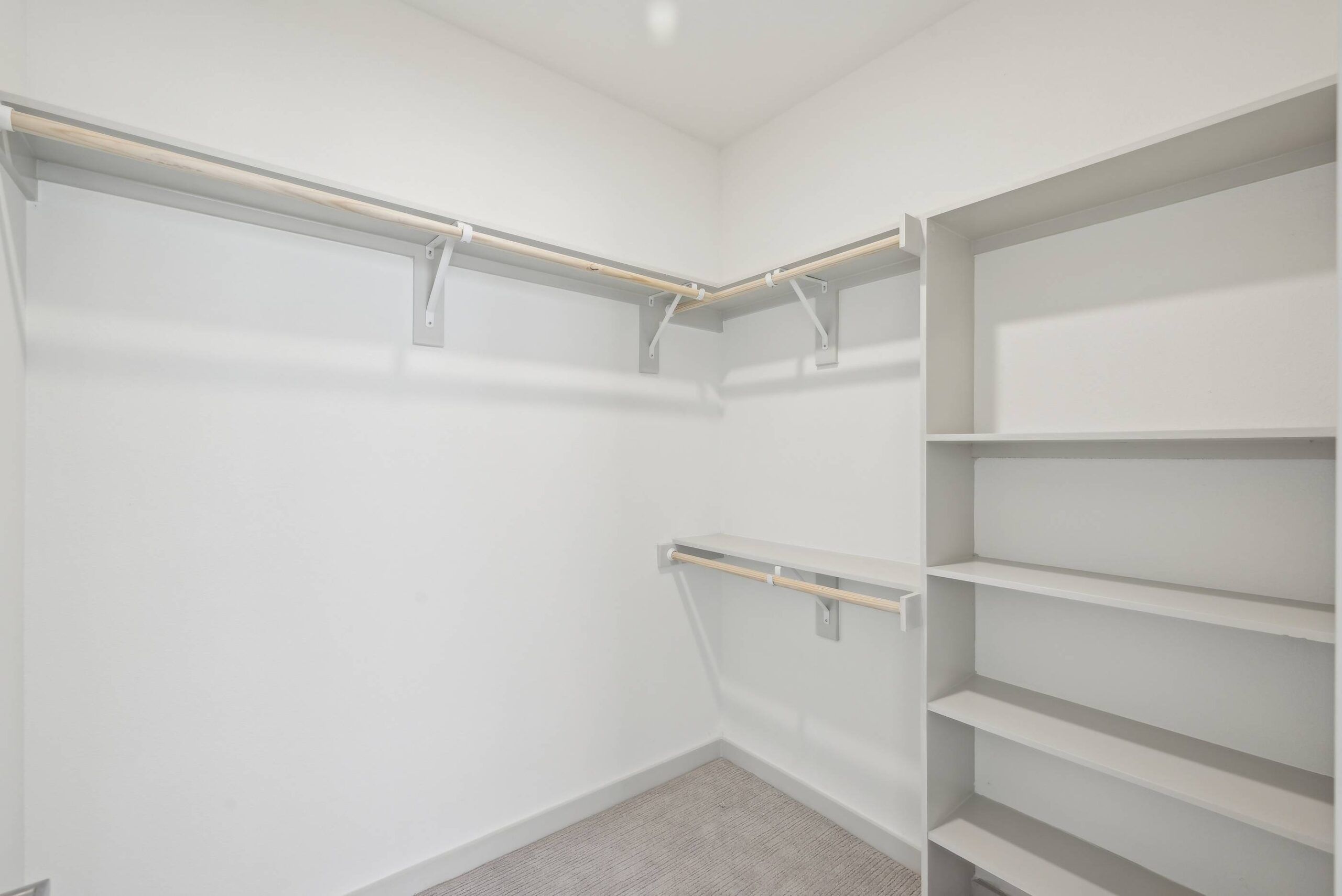 Meridian at Wylie Empty walk-in closet with white walls, shelves, and hanging rods, and carpeted floor.